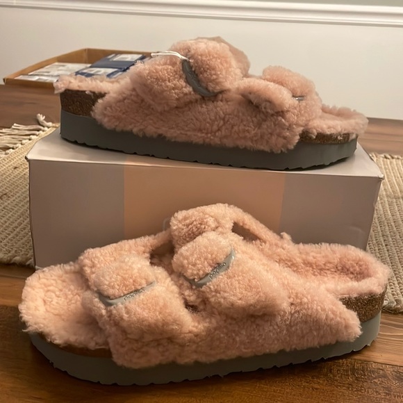 papillio arizona teddy